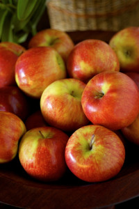 Apple Dessert Recipes, Salem Cross Inn, West Brookfield, MA