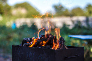 fire flames over burning wood in brazier