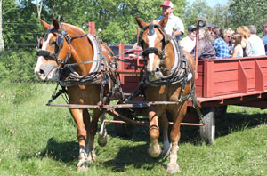 Salem Cross Inn Drover's Roast, horse drawn hay rides